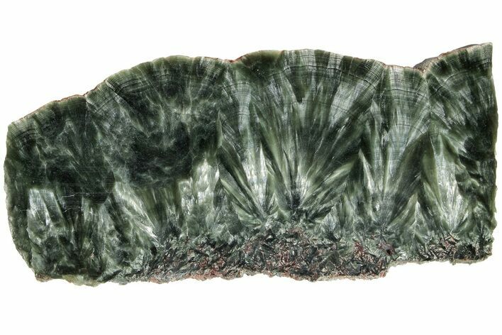 Polished Seraphinite Slab - Siberia #183544